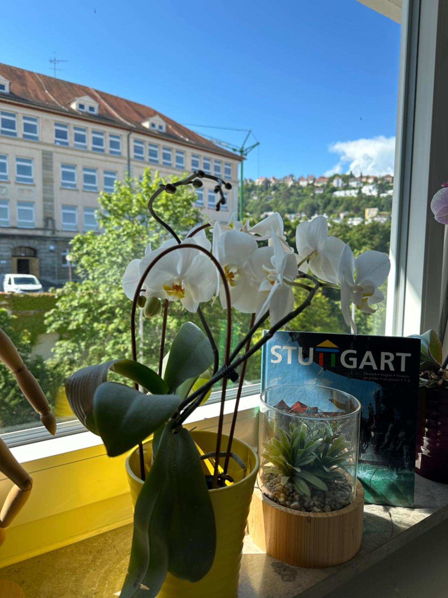 슈투트가르트 Renovated Flat - Prime Location Near Marienplatz 아파트 외부 사진